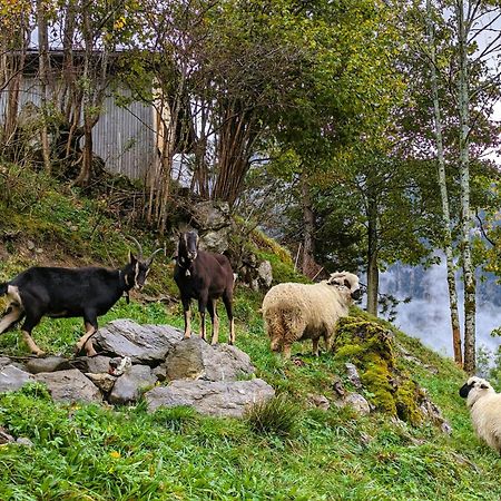 Apartmán Panoramahof Bergglueck Mellau Exteriér fotografie