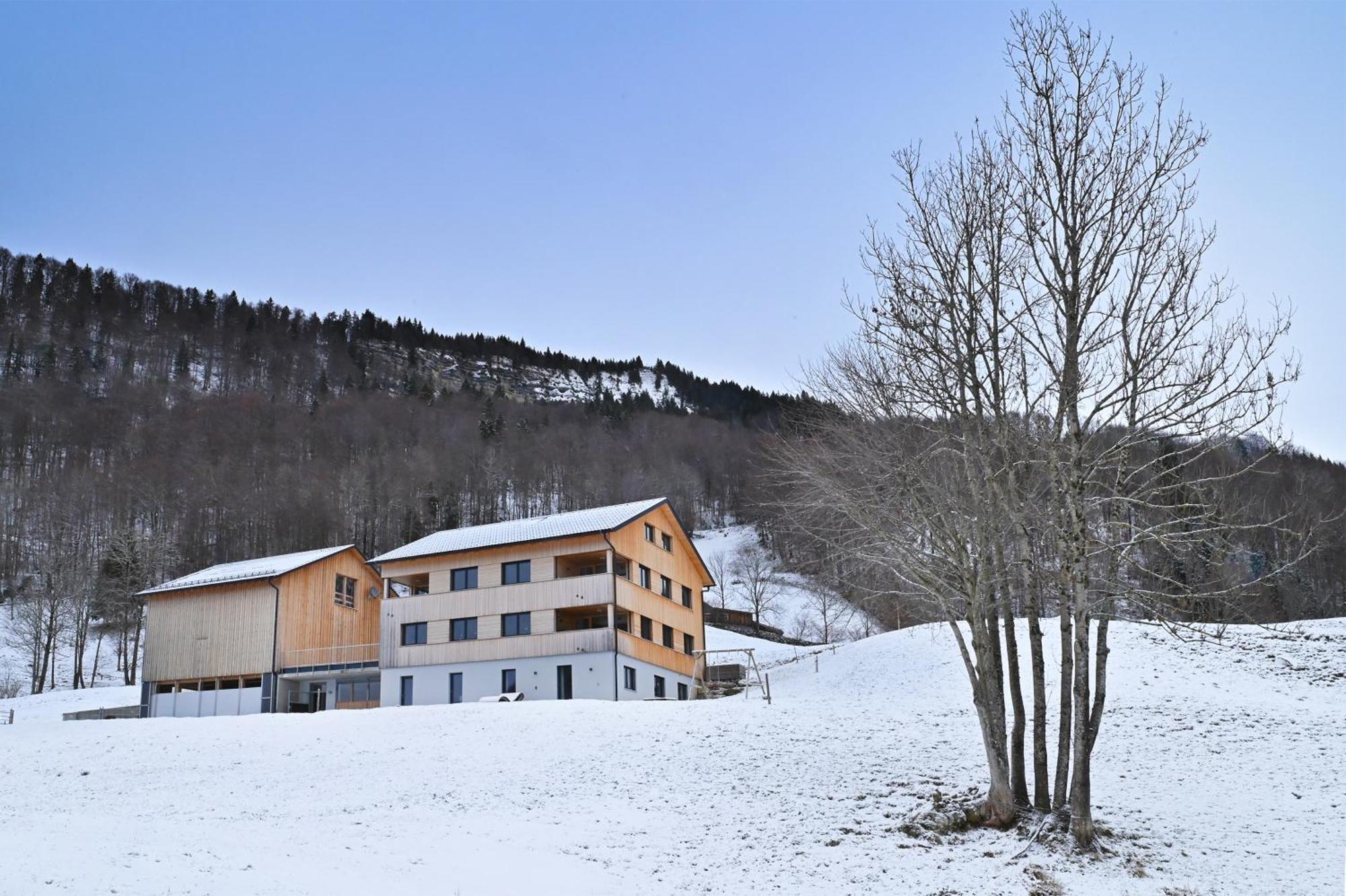 Apartmán Panoramahof Bergglueck Mellau Exteriér fotografie